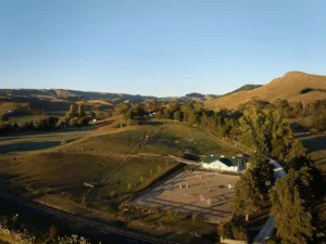 Horse Stables