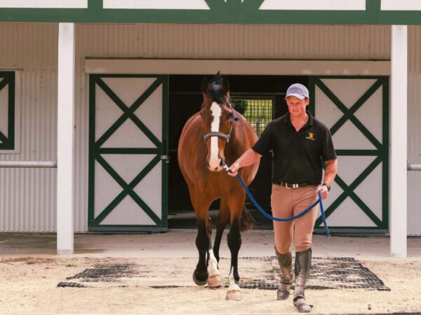 Glen Aros Horse Stables