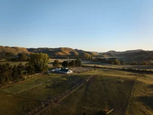 Horse Stables