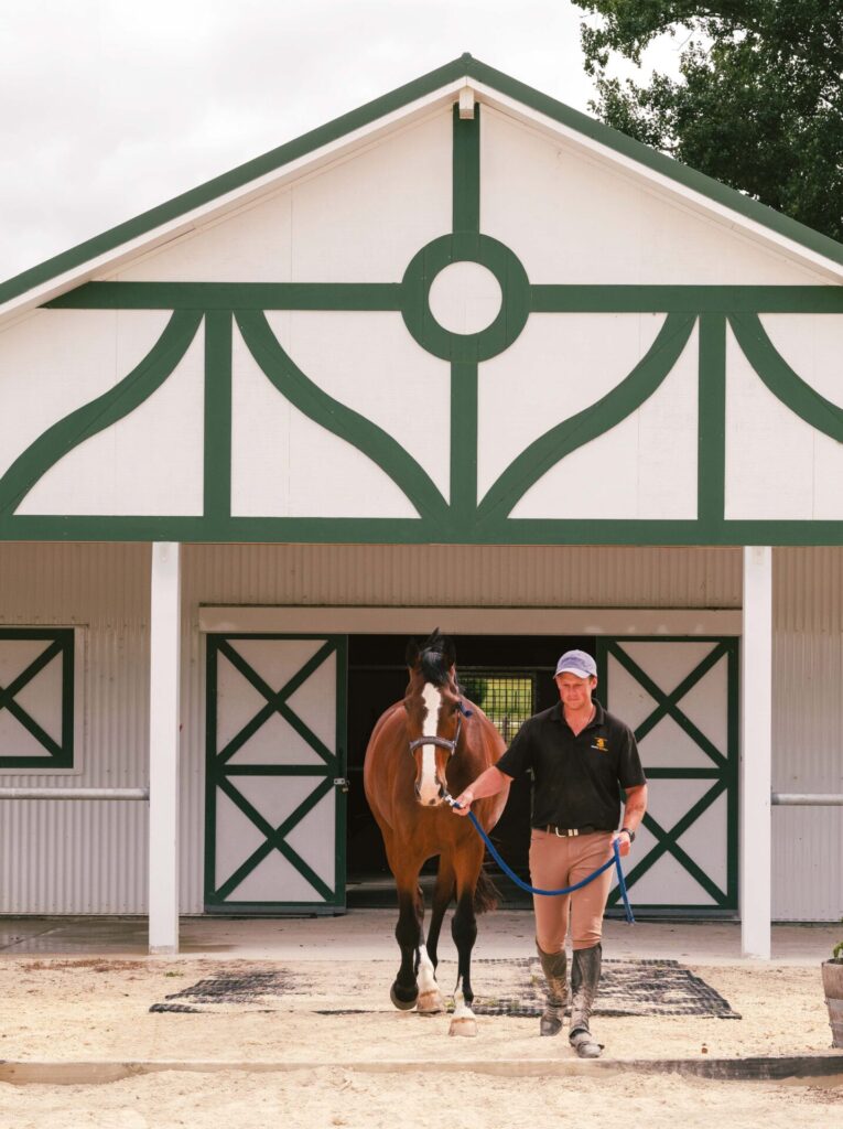 Horse Stables